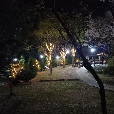 Chamjoeun Pension Chechon Bagian luar foto
