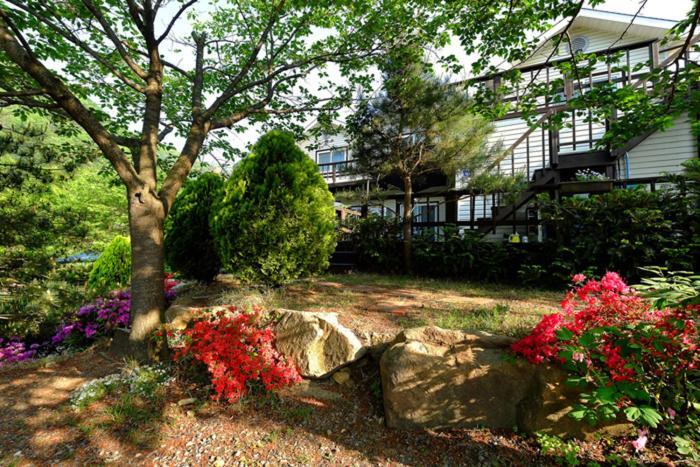Chamjoeun Pension Chechon Bagian luar foto